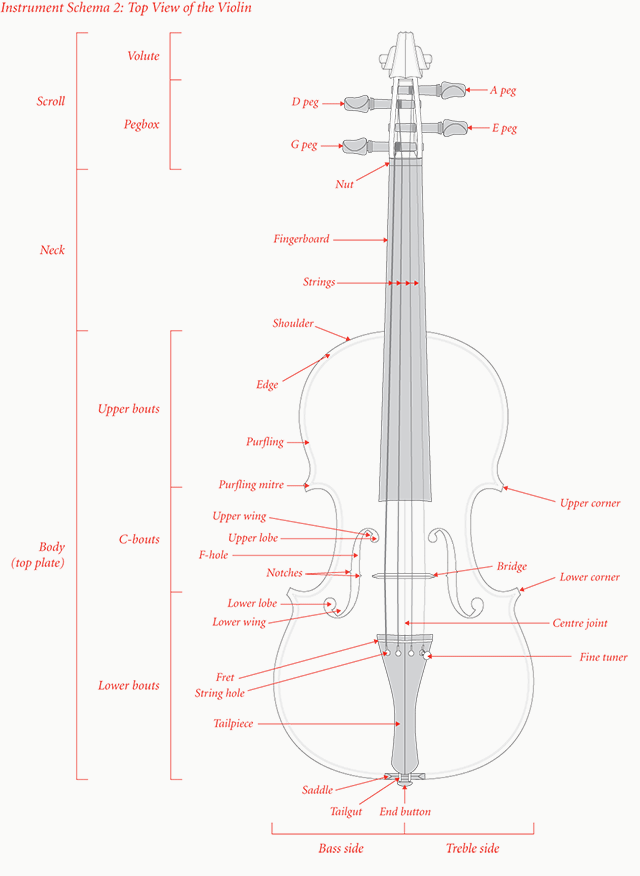 Instrument Schema 2: Top View of the Violin