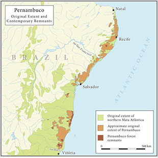 Map 2. Pernambuco growth